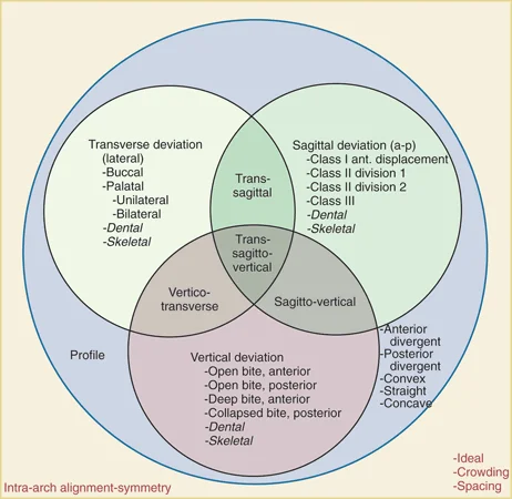 Ackerman-Proffit Venn diagram, almost complete: The logic of this diagram adds deviations from normal in all three planes of space, specifies the deviations, and includes their interactions.