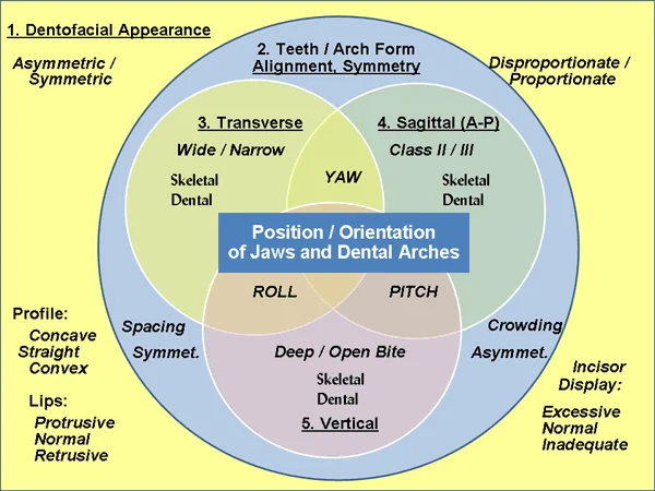 Current Venn diagram for Ackerman-Proffit classification: The Venn diagram now includes both position and orientation of the jaws and dentition in all three planes of space.