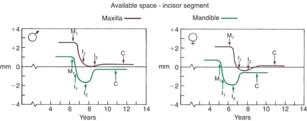 Plots of available space over time: In both males (left) and females (right), the eruption of the first molar (M1) and incisors (I1, I2) result in a loss of space in both arches.