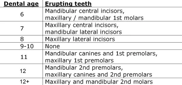 Dental age summary: It is more helpful clinically to remember when groups of teeth erupt than to try to memorize exact ages for individual teeth.