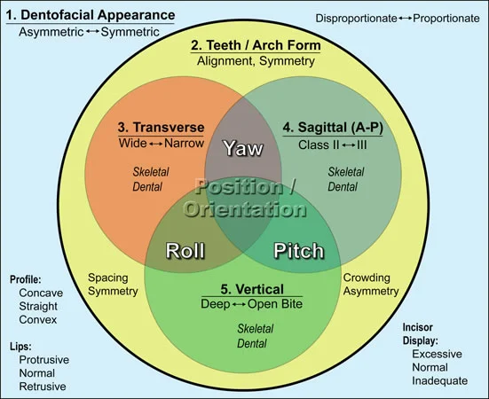 Ackerman-Proffit classification scheme: Classification by systematic description shown in a Venn diagram, which emphasizes the possibility of multiple sets of problems and multiple interactions.