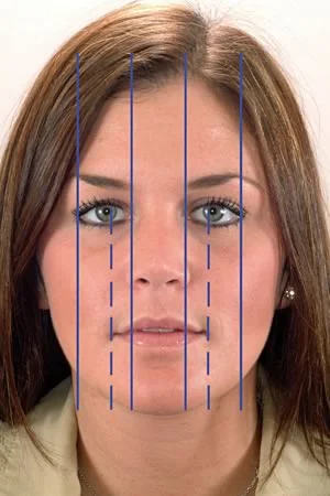 The face divided into fifths.