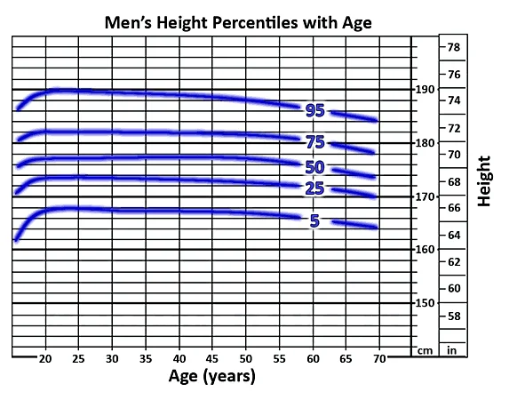 Men’s change in height by year: Note the general decrease in height over time as the intervertebral discs are compressed.