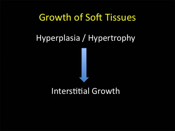 Hyperplasia (primarily) and hypertrophy (secondarily) lead to interstitial growth of soft tissue.