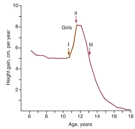 Height gain per year for girls: Maturation for girls may be divided into three stages.