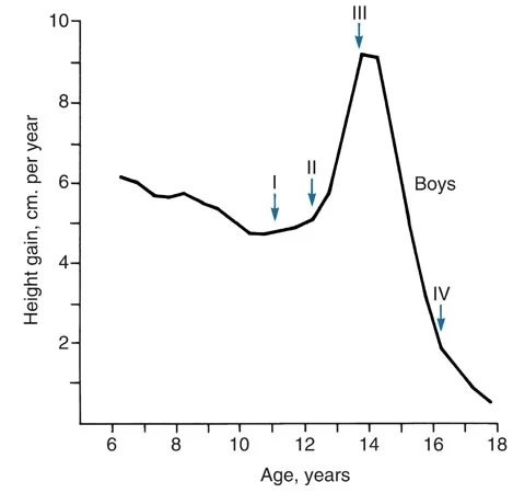 Height gain per year for boys: Maturation for boys is more difficult to group into stages and occurs over a longer period of time (5 years).