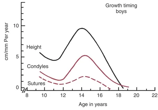 Growth of the face and jaws and height gain in boys: Increases in growth both at the condyles of the mandible and at the sutures of the maxilla happen near the peak height gain for boys.