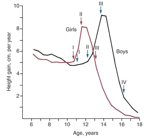 Change in height over time: Note the sharp peaks near puberty – at different times – for boys and girls.