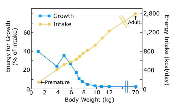 Energy intake needed for growth: More energy is needed early in life for growth, and nutrition intake early in life is particularly important.