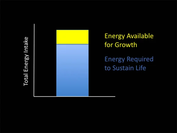 Energy intake needed for growth: In order to grow, a child must first have adequate nutrition to fulfill all other metabolic requirements.