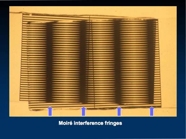 Interference Fringes: The lateral changes in the dark bands allow the visualization of tiny vertical changes in tooth movement.