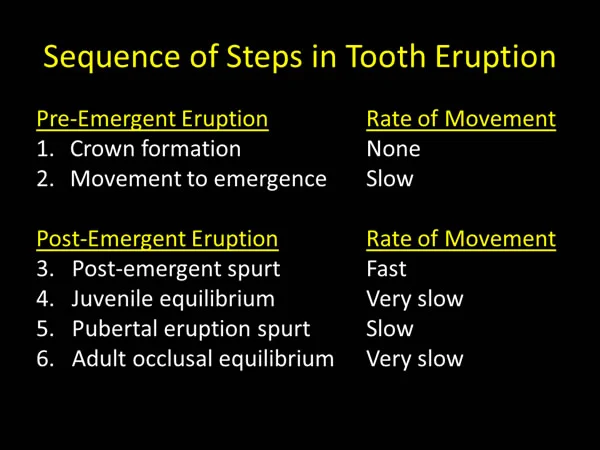 Phases and steps of tooth eruption