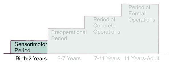 Piaget’s stages of cognitive development: Stage 1 is the sensorimotor period. A prominent feature is establishing the basis for language development.