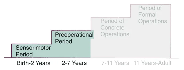 Piaget’s stages of cognitive development: The preoperational period is characterized by egocentrism and animism.