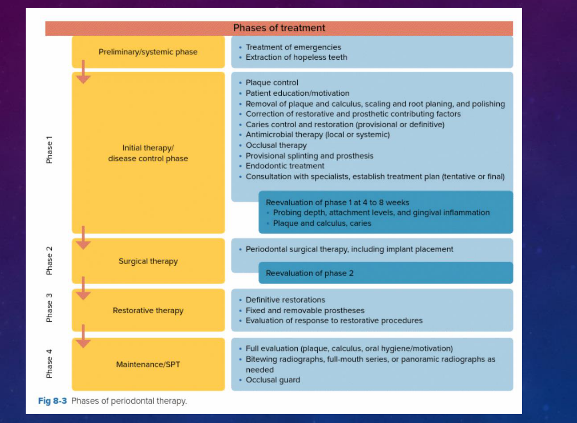 Fig 8-3 Phases of periodontal therapy.