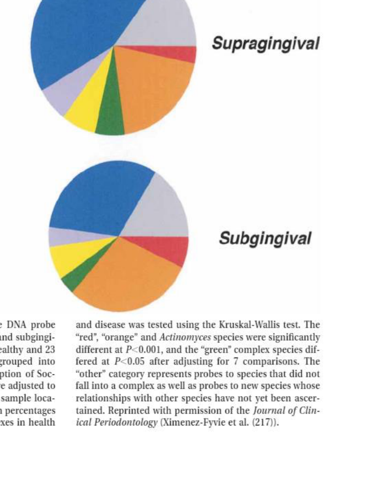 Fig. 10. Pie charts of the mean percentage DNA probe count of microbial groups in supragingival and subgingival plaque samples from 22 periodontally healthy and 23 periodontitis subjects. The species were grouped into seven microbial groups based on the description of Socransky et al. (174). The areas of the pies were adjusted to reflect the mean total counts at each of the sample locations. The significance of differences in mean percentages of the supragingival and subgingival complexes in health and disease was tested using the Kruskal-Wallis test. The “red”, “orange” and Actinomyces species were significantly different at P<0.001, and the “green” complex species differed at P<0.05 after adjusting for 7 comparisons. The “other” category represents probes to species that did not fall into a complex as well as probes to new species whose relationships with other species have not yet been ascertained. Reprinted with permission of the Journal of Clinical Periodontology (Ximenez-Fyvie et al. (217)).