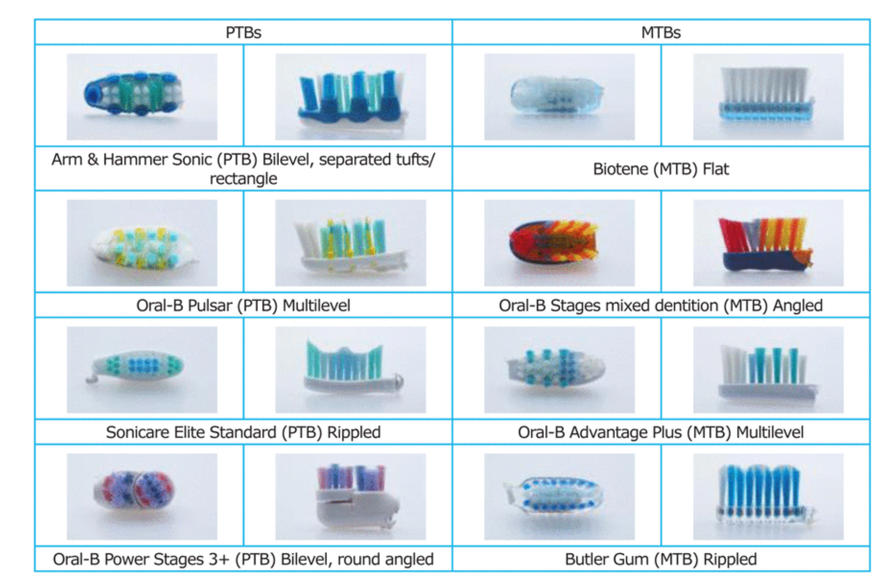 Toothbrush: Bristles