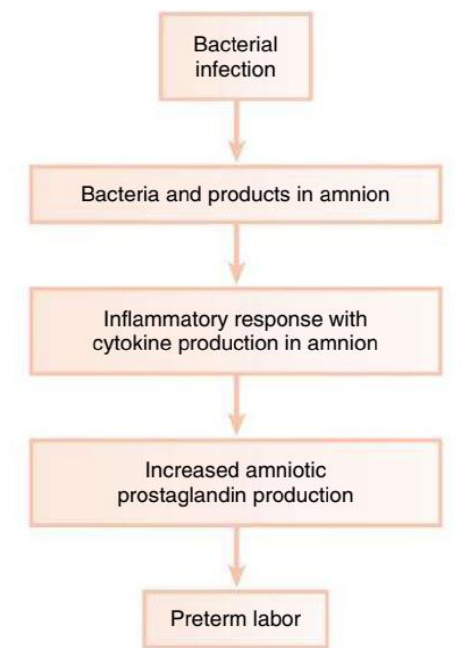 eFig. 26.1 Mechanisms by which infection may induce preterm labor.