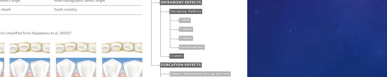 TAB. 2: Positive and negative defect characteristics