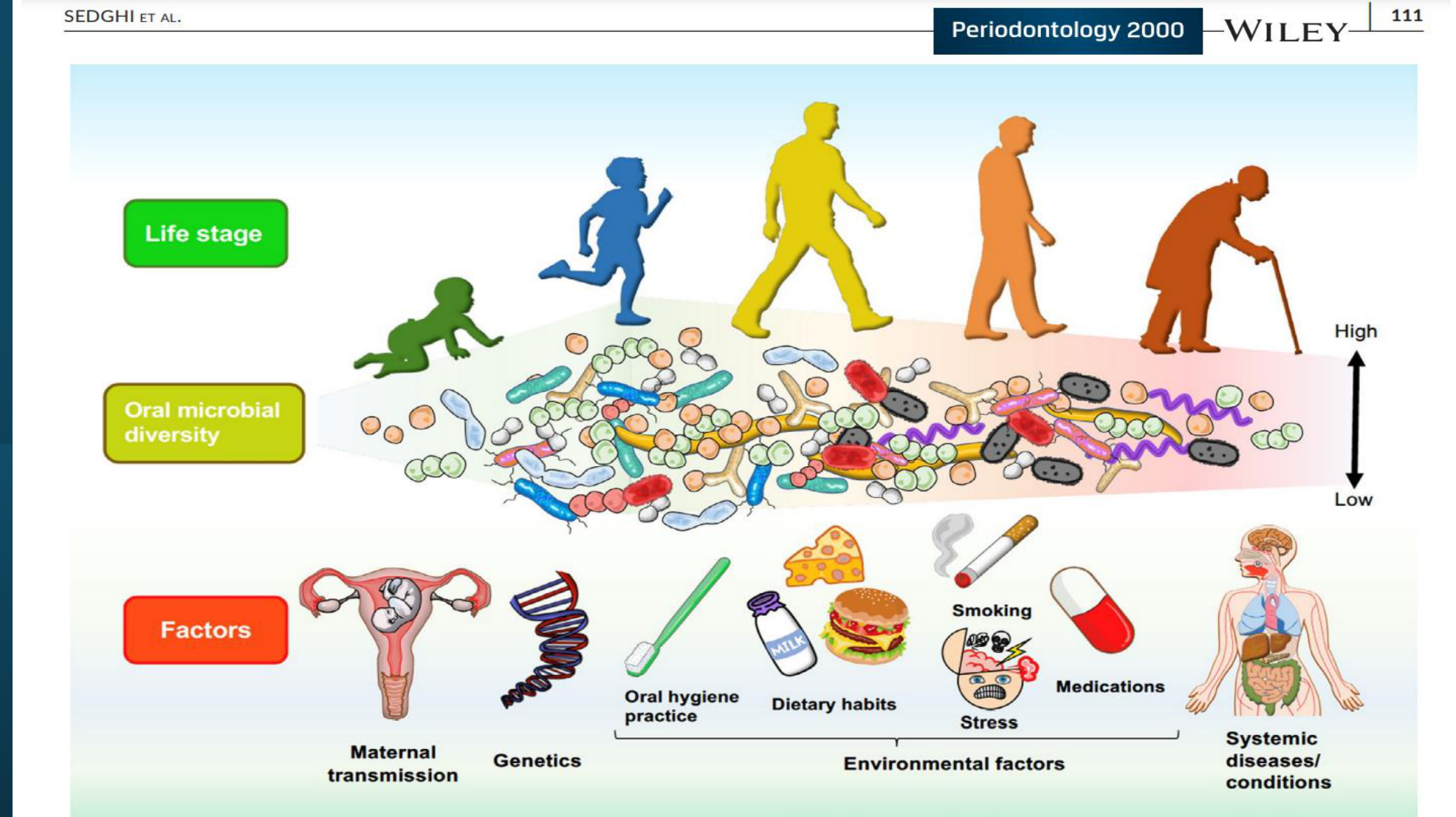 FIGURE 1 The Oral Microbiome: From First Encounters to Lifelong Encounters.