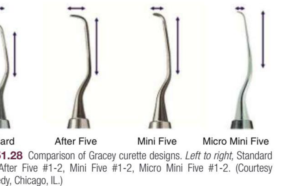 Fig. 51.28 Comparison of Gracey curette designs. Left to right, Standard #1-2, After Five #1-2, Mini Five #1-2, Micro Mini Five #1-2. (Courtesy Hu-Friedy, Chicago, IL.)