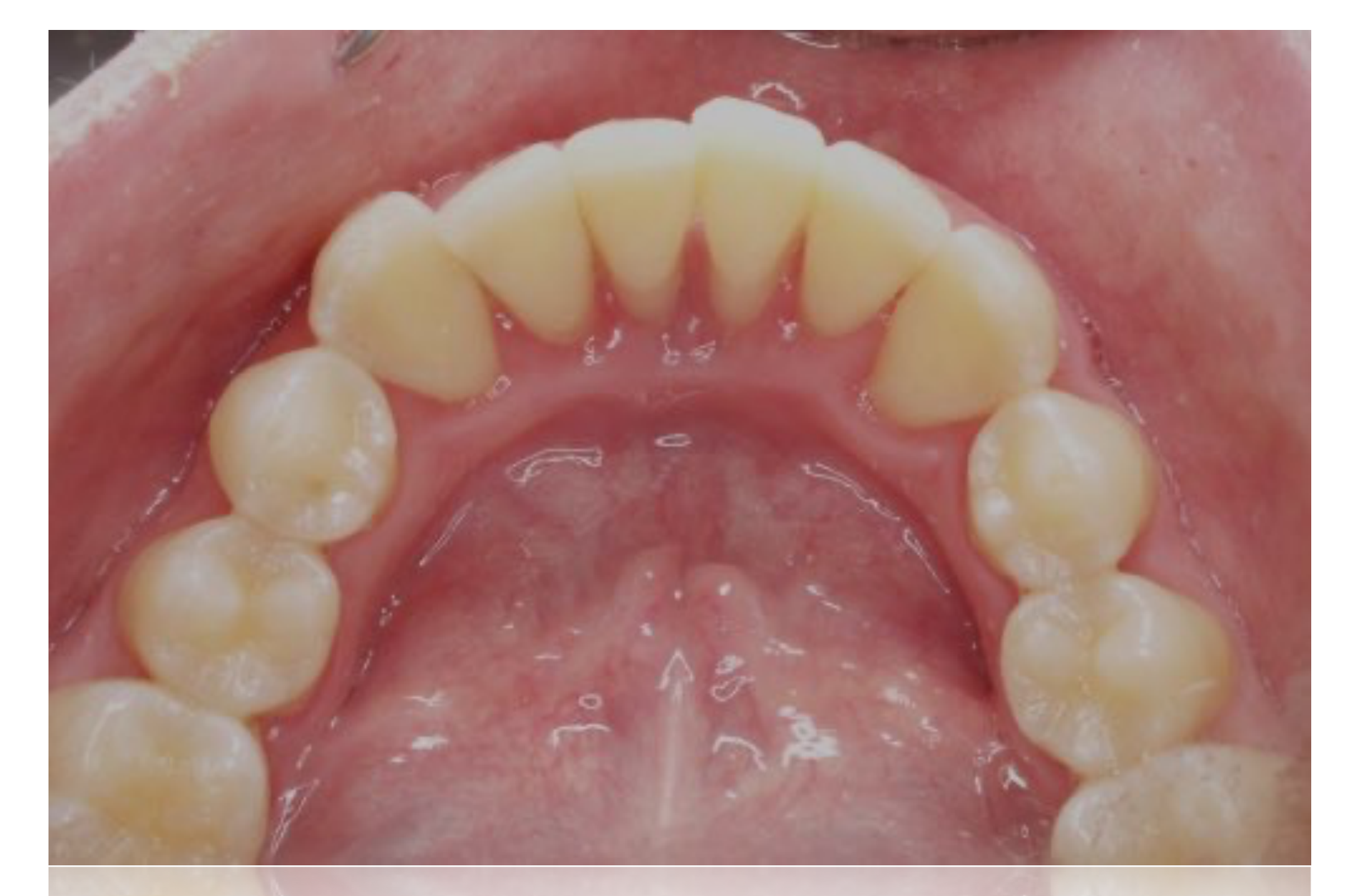 Image courtesy of Dr Anna Hughes