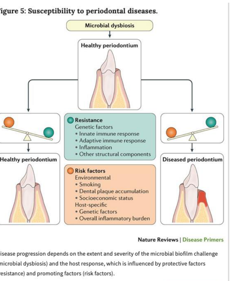 Figure 5: Susceptibility to periodontal diseases.
