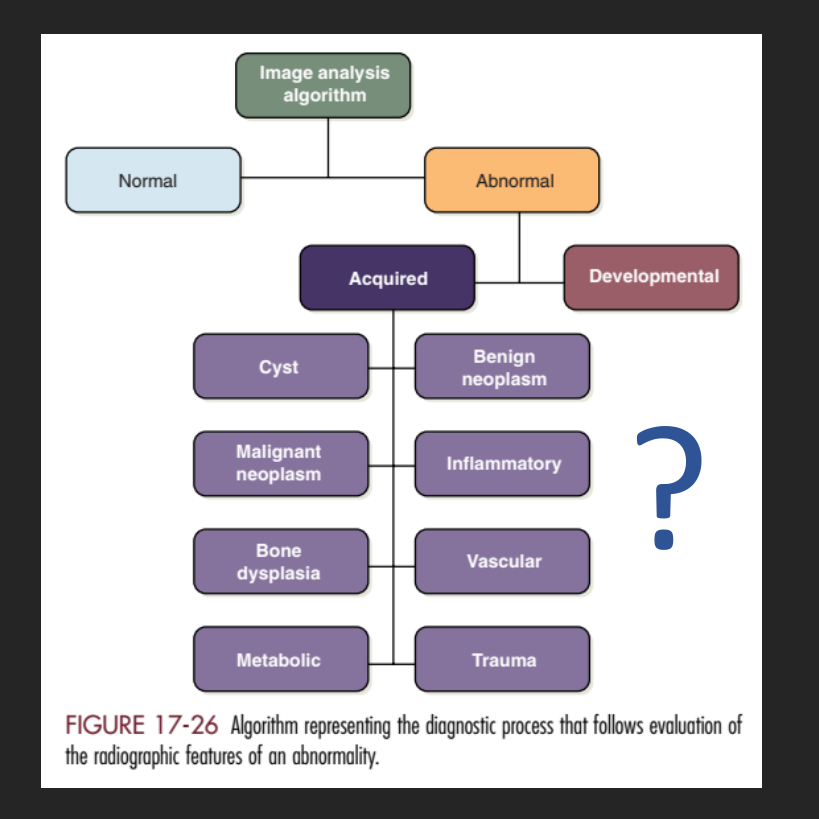 FIGURE 17-26 Algorithm representing the diagnostic process that follows evaluation of the radiographic features of an abnormality.