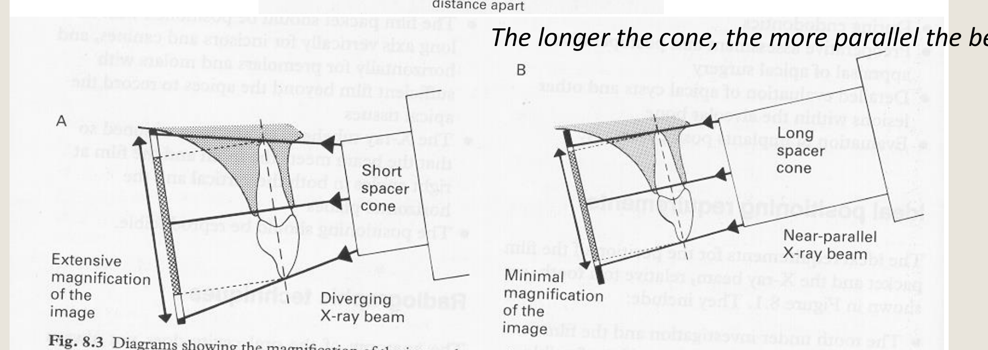 Fig. 8.3 Diagrams showing the magnification of the image that results from using A a short cone and a diverging X-ray beam and B a long cone and a near-parallel X-ray beam.
