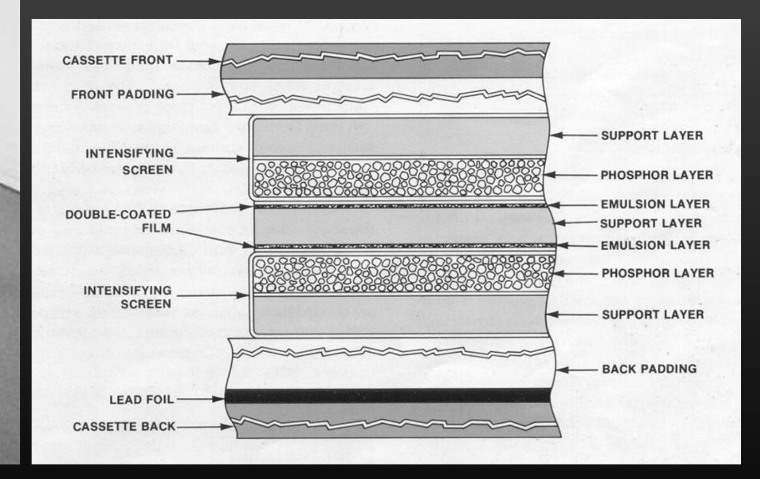 Double sided films have increased optical density