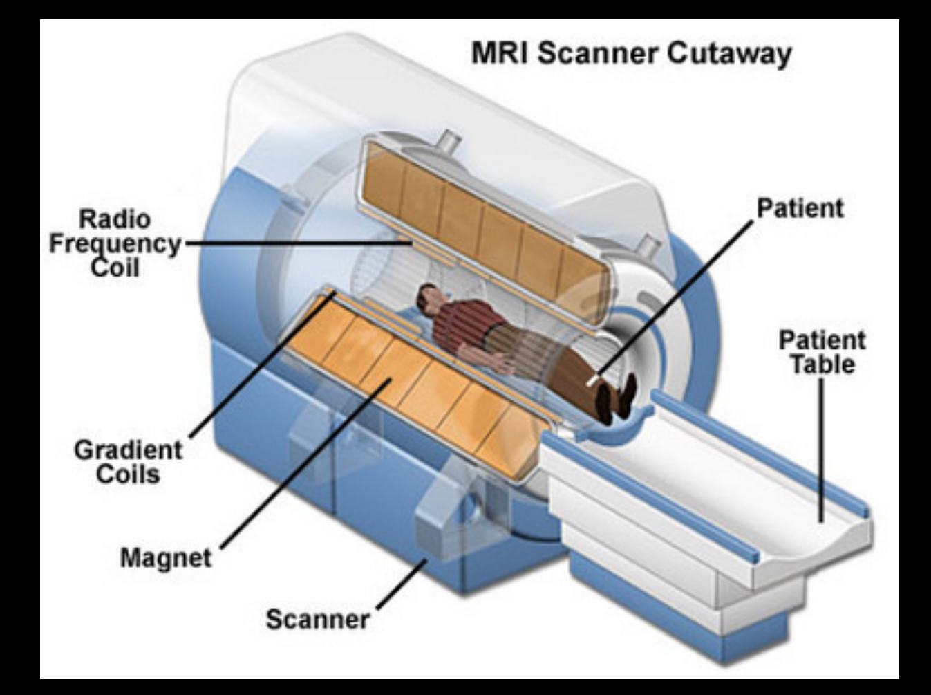 MRI Scanner Cutaway