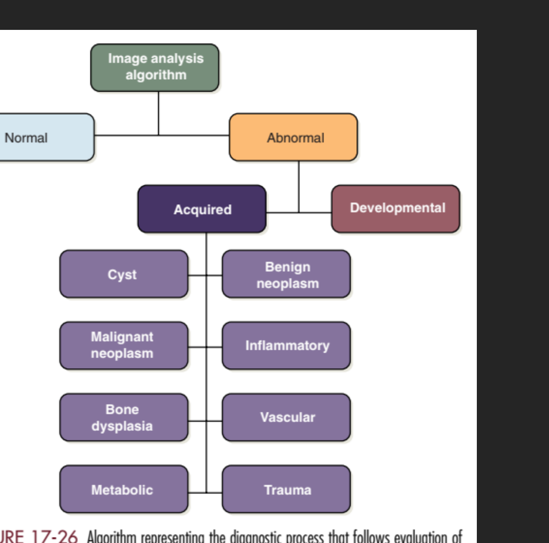 FIGURE 17-26 Algorithm representing the diagnostic process that follows evaluation of the radiographic features of an abnormality.