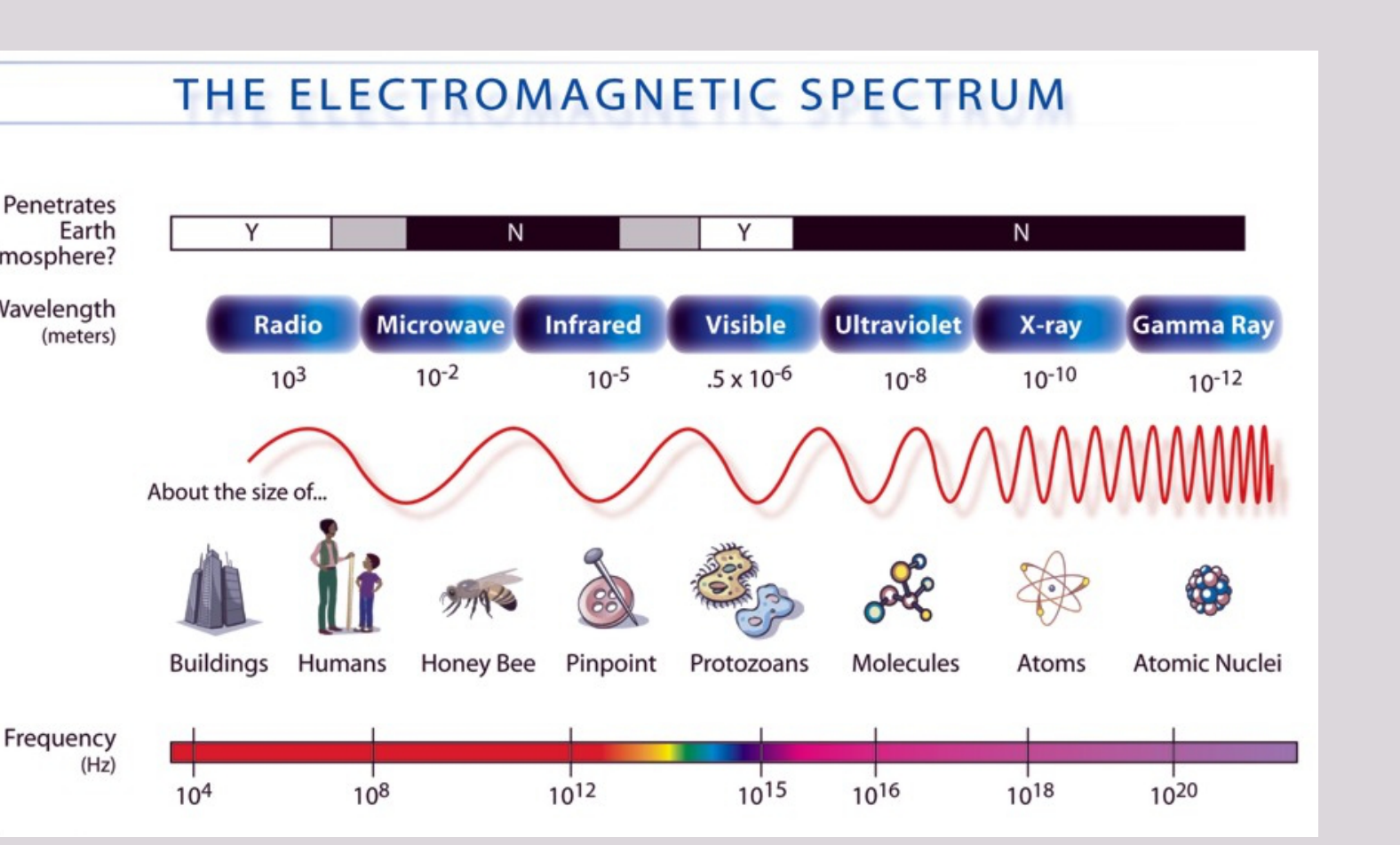 THE ELECTROMAGNETIC SPECTRUM