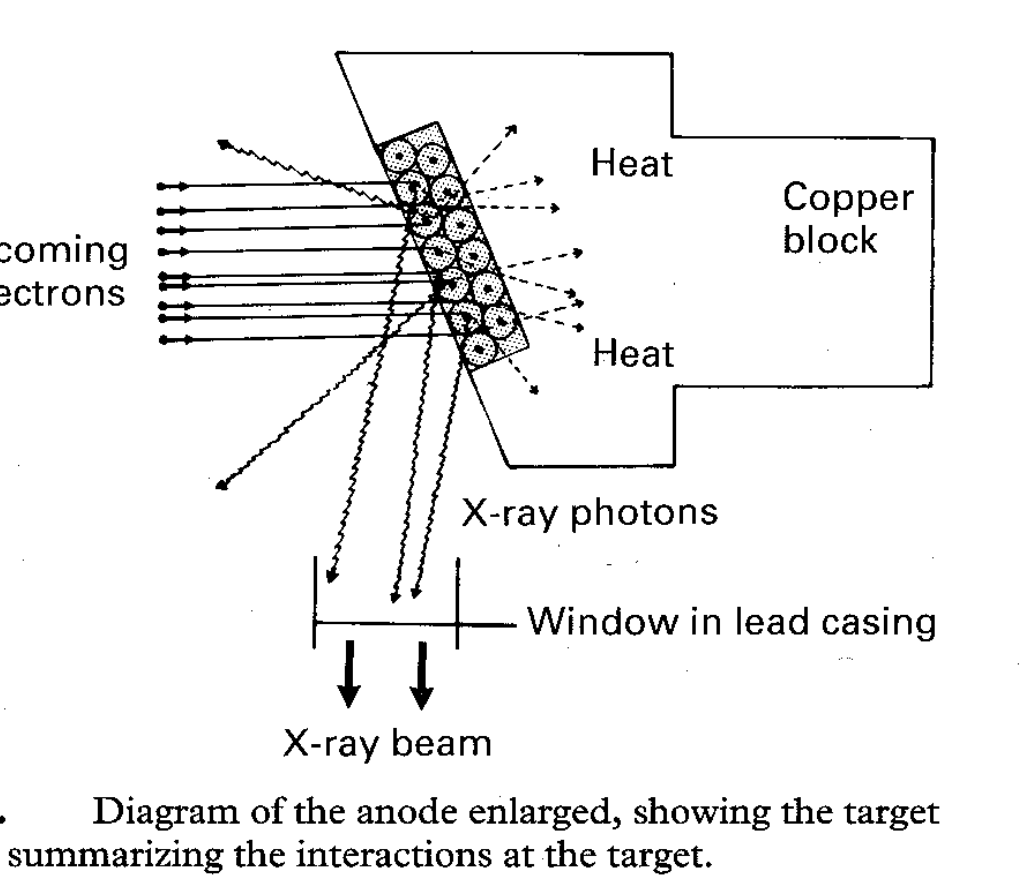 Fig. Diagram of the anode enlarged, showing the target and summarizing the interactions at the target.