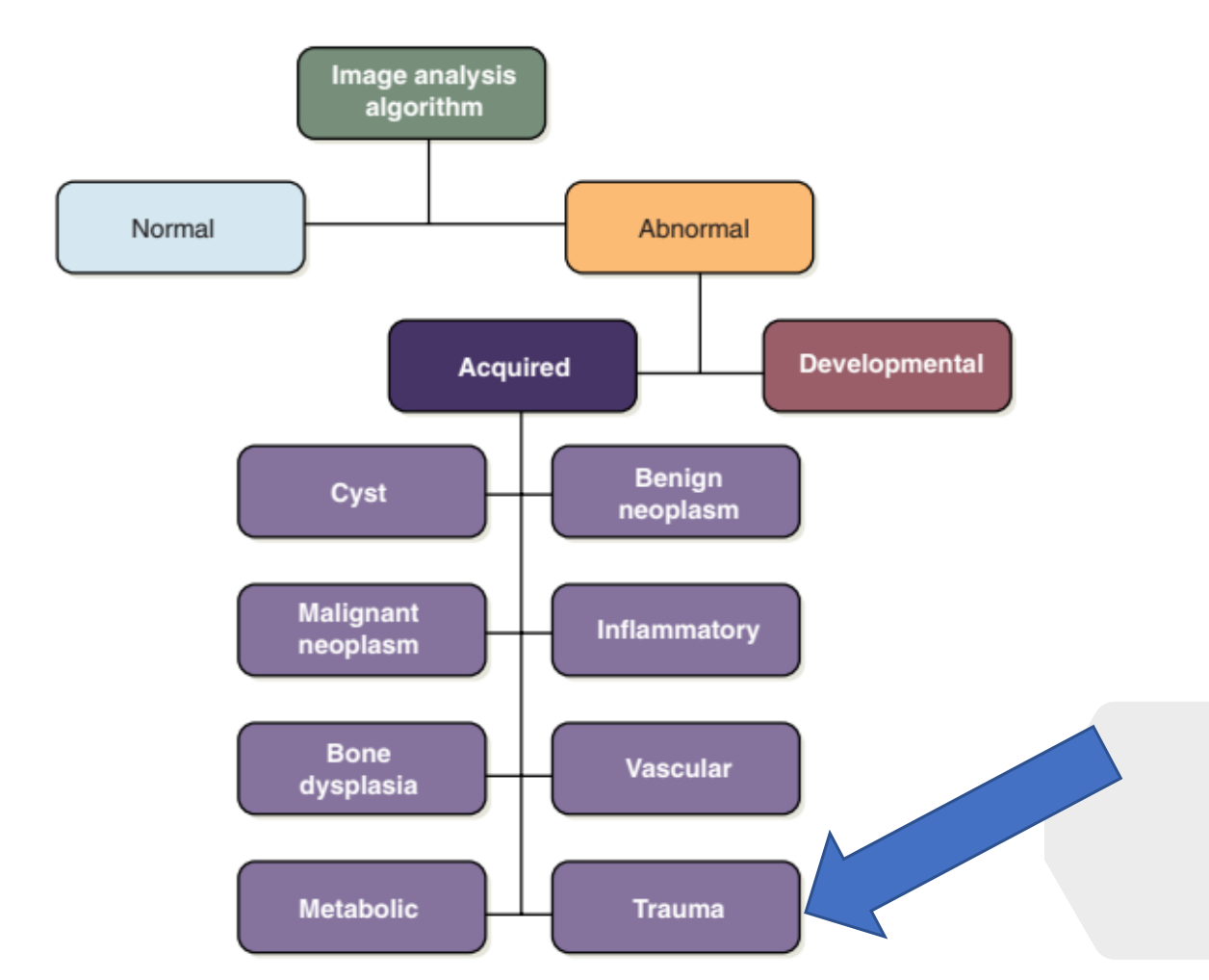 FIGURE 17-26 Algorithm representing the diagnostic process that follows evaluation of the radiographic features of an abnormality.