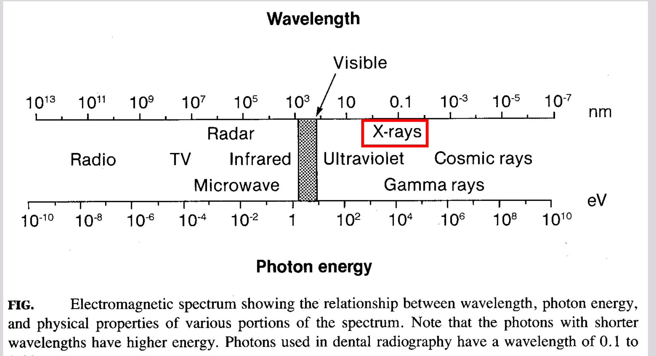 FIG. Electromagnetic spectrum showing the relationship between wavelength, photon energy, and physical properties of various portions of the spectrum. Note that the photons with shorter wavelengths have higher energy. Photons used in dental radiography have a wavelength of 0.1 to 0.001 nm.