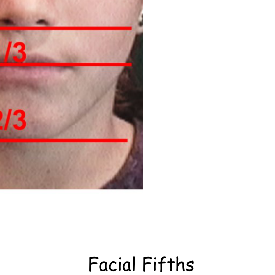 Lower Facial Thirds