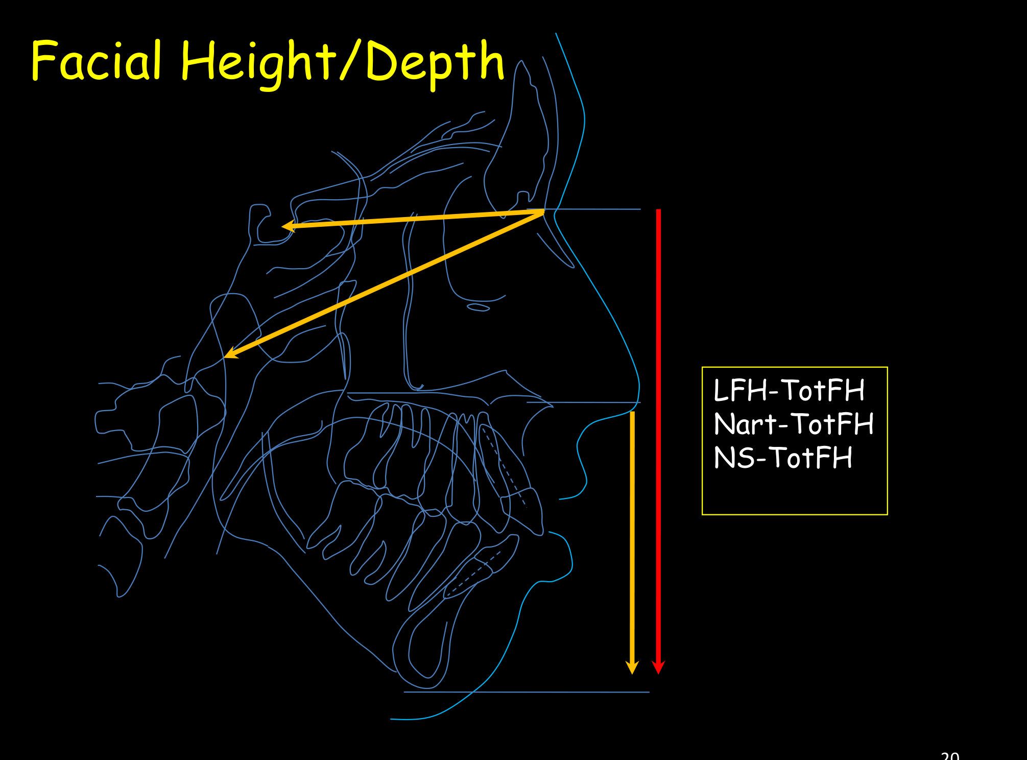 Facial Height/Depth