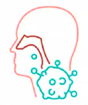 HEAD AND NECK CANCER editable stroke