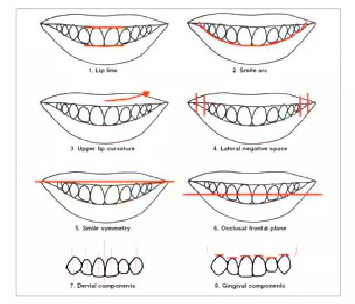 8 Components of a Healthy Smile