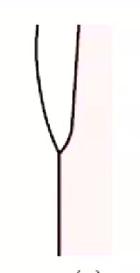 (c)