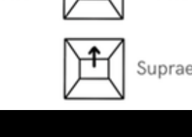 Supraerupted