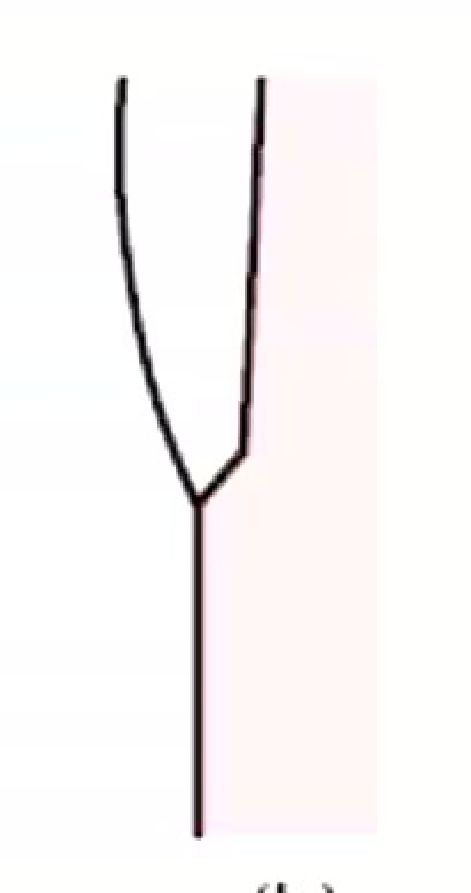 (b)