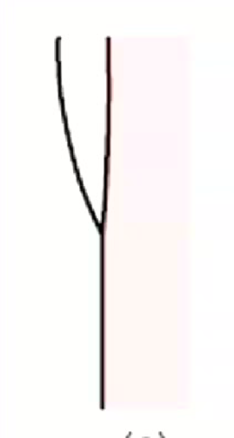 (a)
