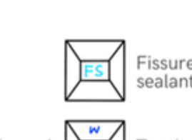 Fissure sealant