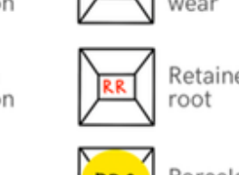 Retained root