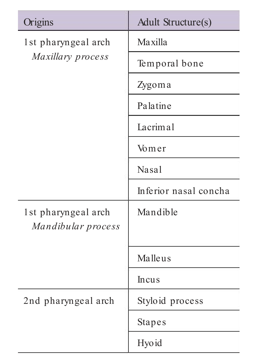 Treacher Collins syndrome