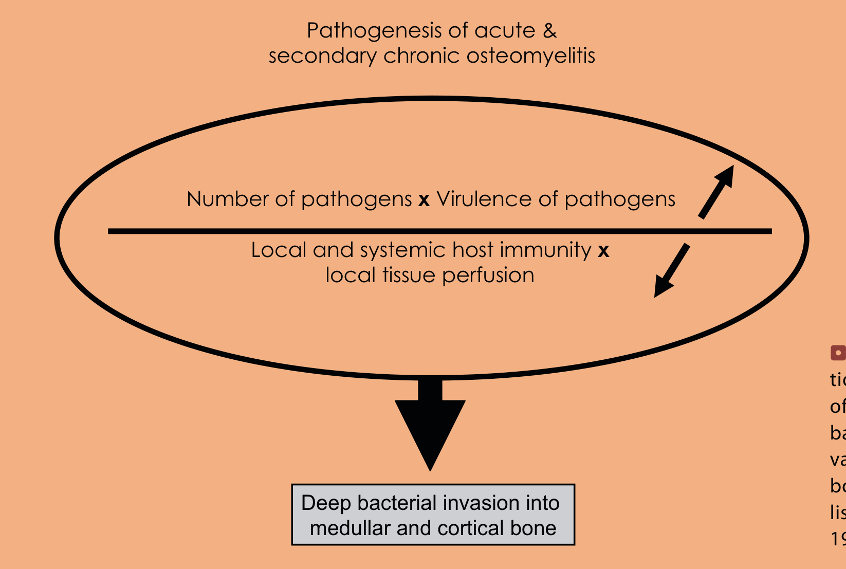 Fig. 2.5 Schematic illustration showing the interaction of host and pathogens. If the balance is shifted to the advantage of the aggressor, deep bone infection will be established (Modified after Marx 1999 and Mercuri 1999)
