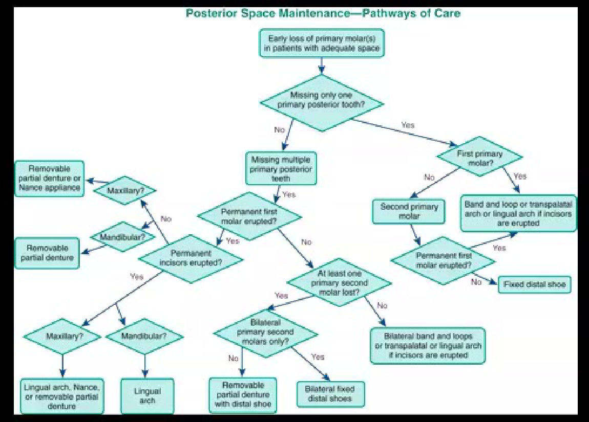 Posterior Space Maintenance—Pathways of Care