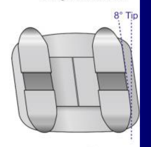 Straight-wire bracket